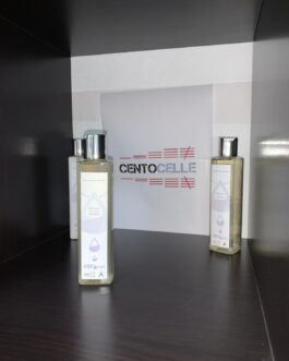 Shampoo Uso Frequente Lavanda